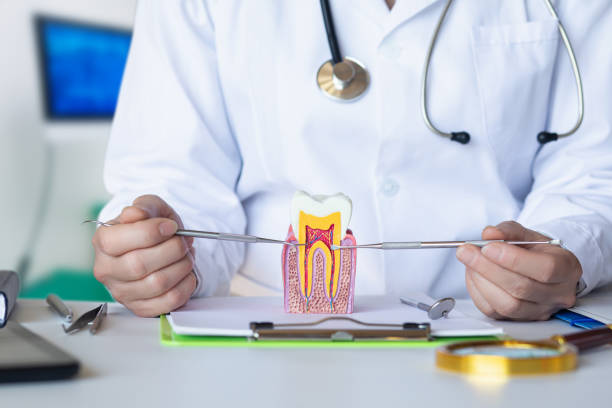Best Emergency Denture Repair in Lewisburg, WV